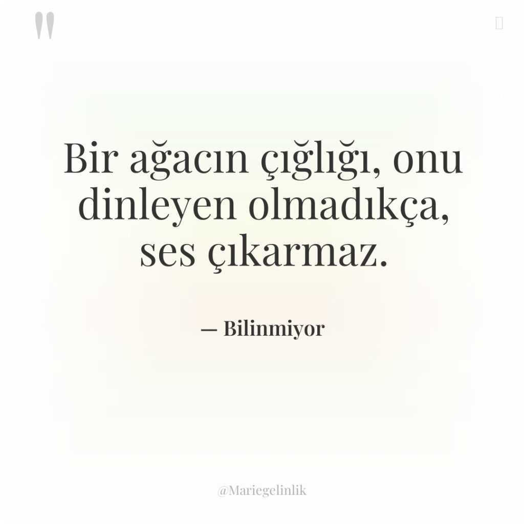 Bir ağacın çığlığı, onu dinleyen olmadıkça, ses çıkarmaz.