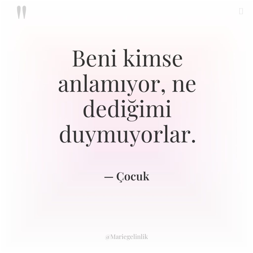 Beni kimse anlamıyor, ne dediğimi duymuyorlar.