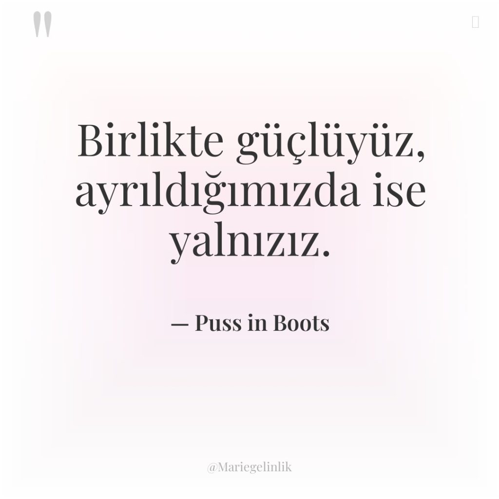 Birlikte güçlüyüz, ayrıldığımızda ise yalnızız.