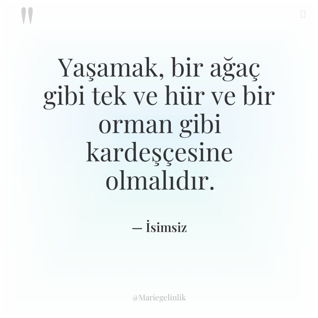 Yaşamak, bir ağaç gibi tek ve hür ve bir orman…