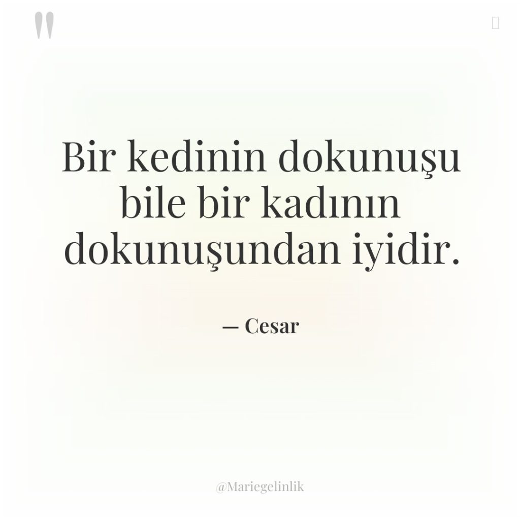 Bir kedinin dokunuşu bile bir kadının dokunuşundan iyidir.