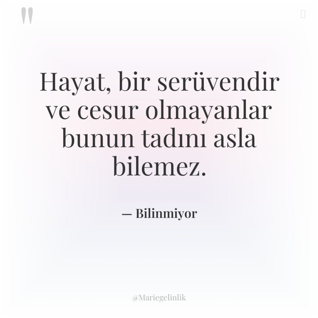 Hayat, bir serüvendir ve cesur olmayanlar bunun tadını asla bilemez.