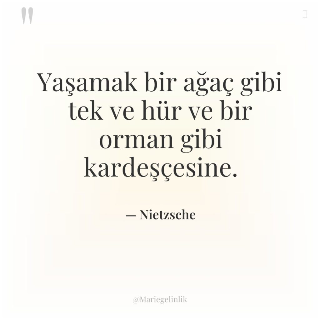 Yaşamak bir ağaç gibi tek ve hür ve bir orman…