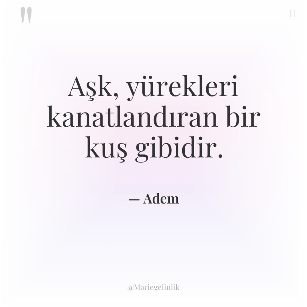 Aşk, yürekleri kanatlandıran bir kuş gibidir.