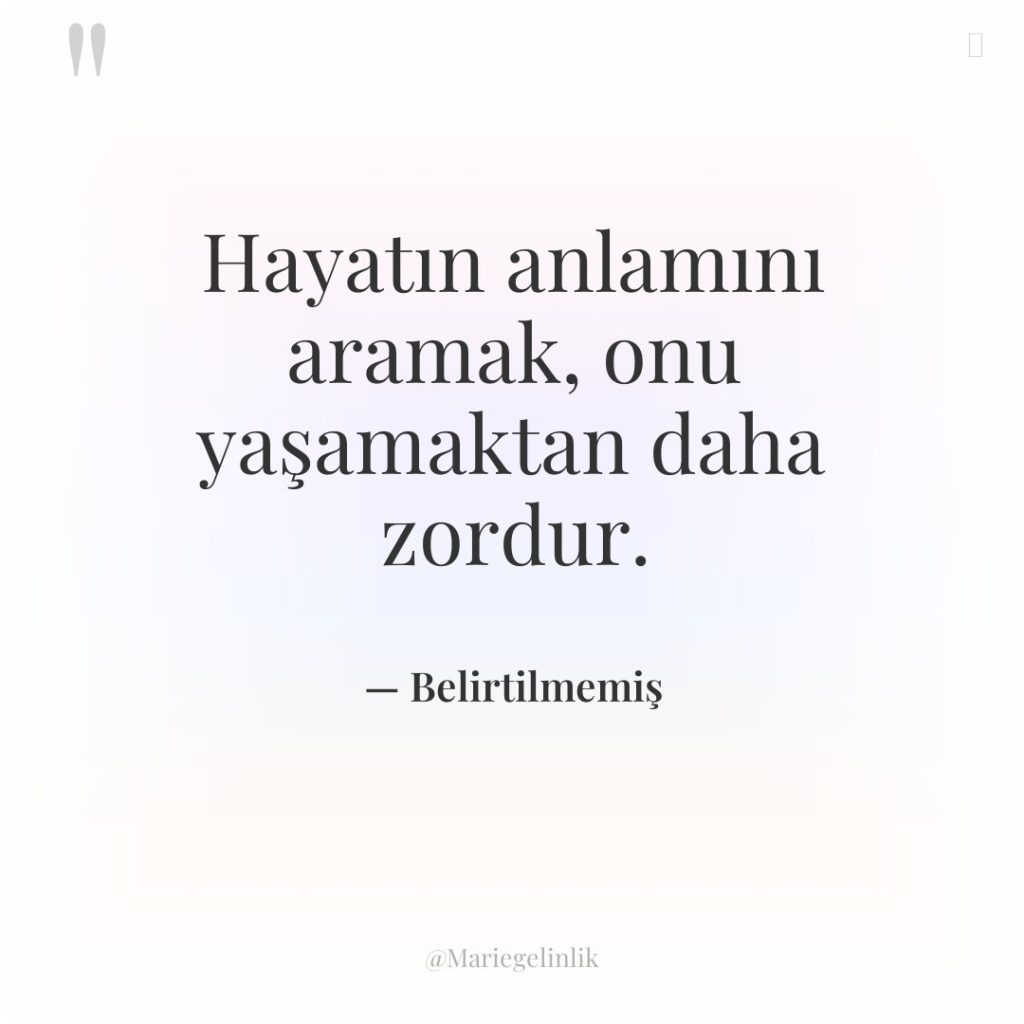 Hayatın anlamını aramak, onu yaşamaktan daha zordur.