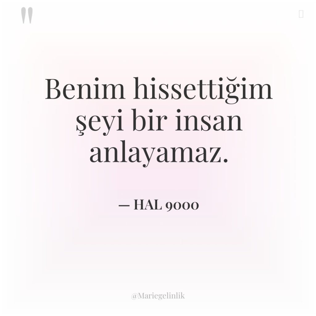Benim hissettiğim şeyi bir insan anlayamaz.