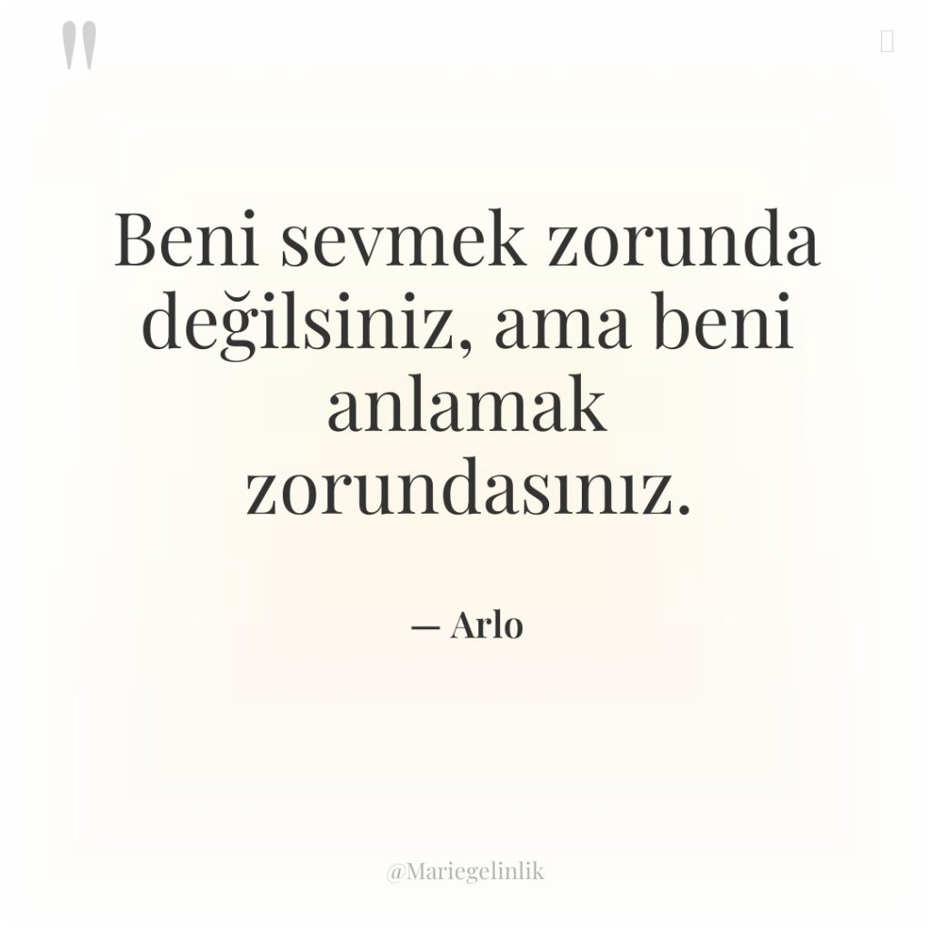 Beni sevmek zorunda değilsiniz, ama beni anlamak zorundasınız.