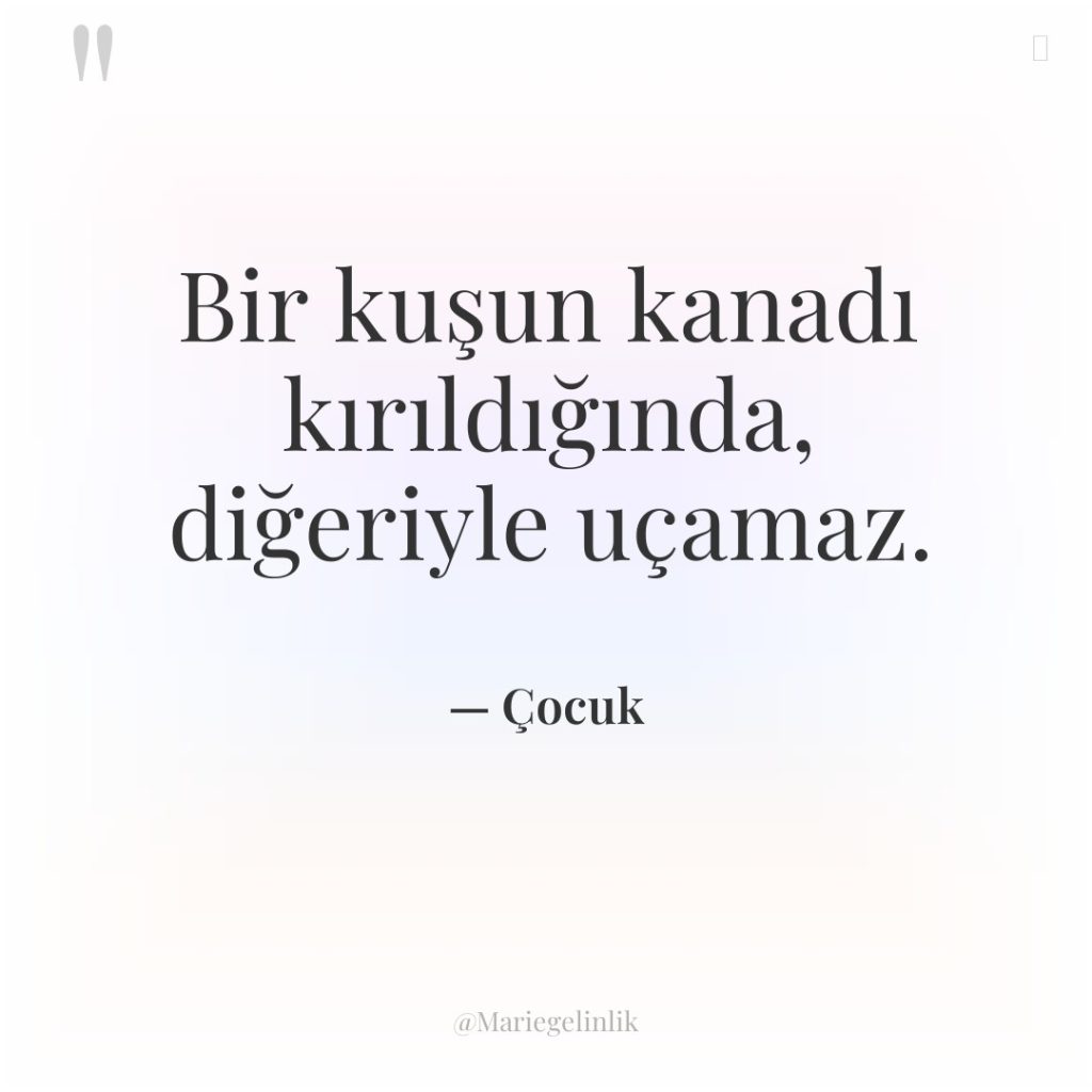 Bir kuşun kanadı kırıldığında, diğeriyle uçamaz.