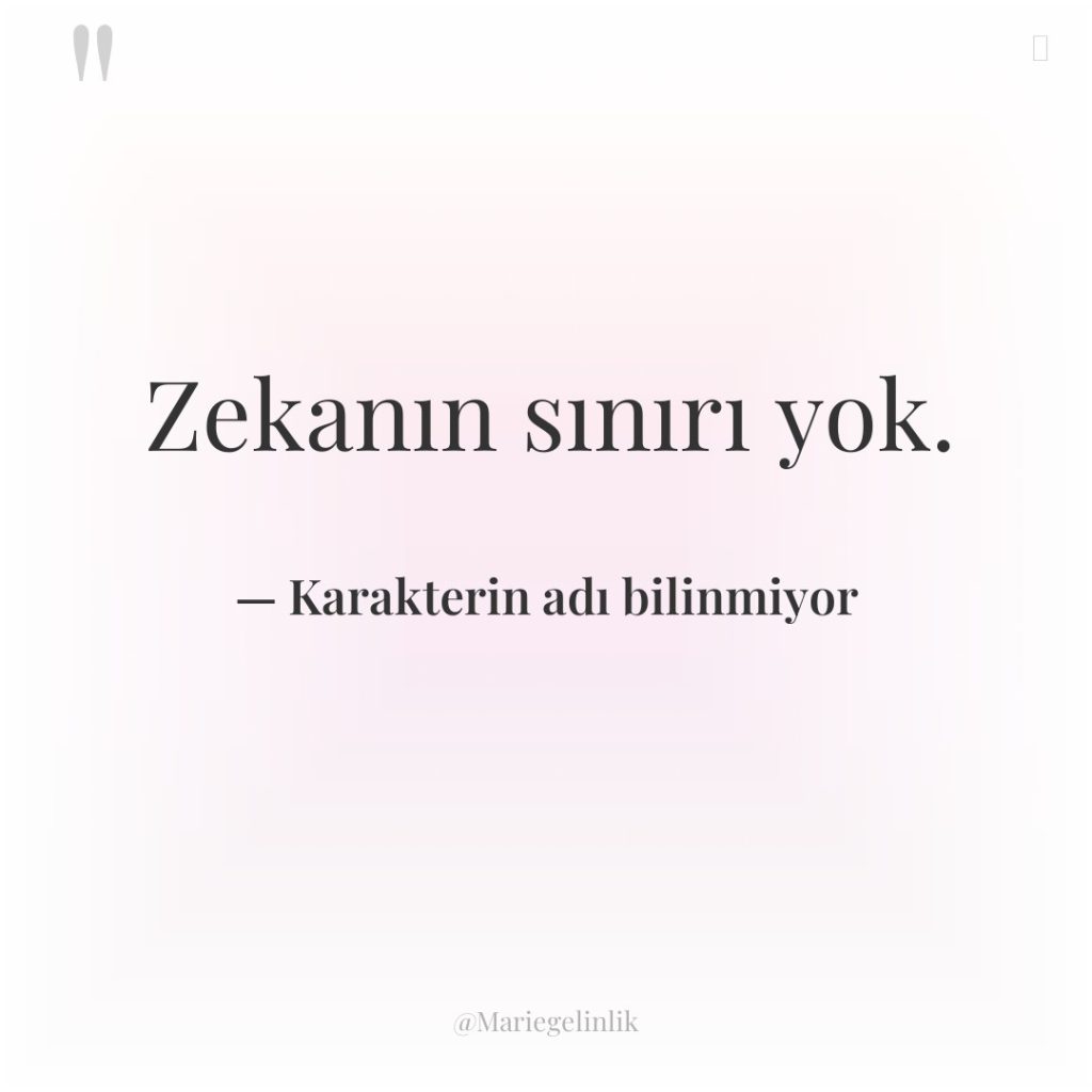 Zekanın sınırı yok.