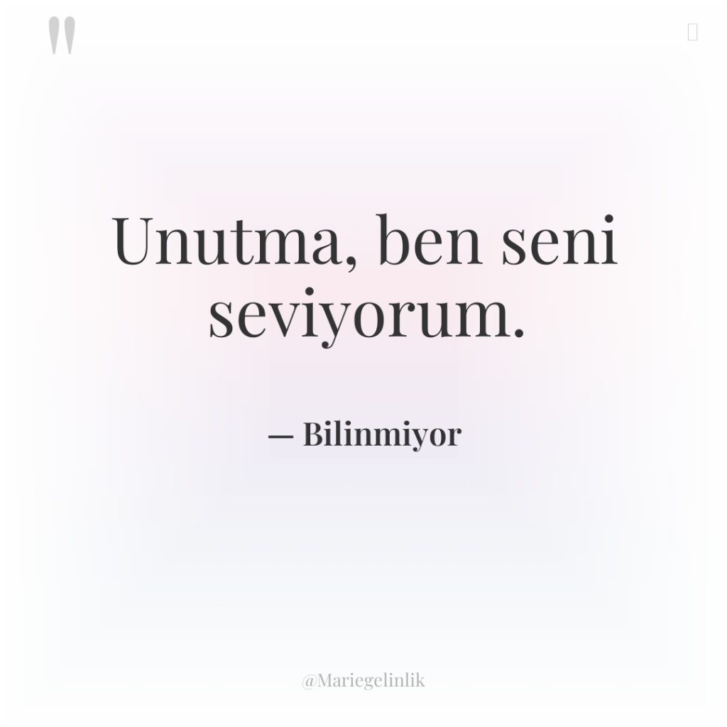 Unutma, ben seni seviyorum.