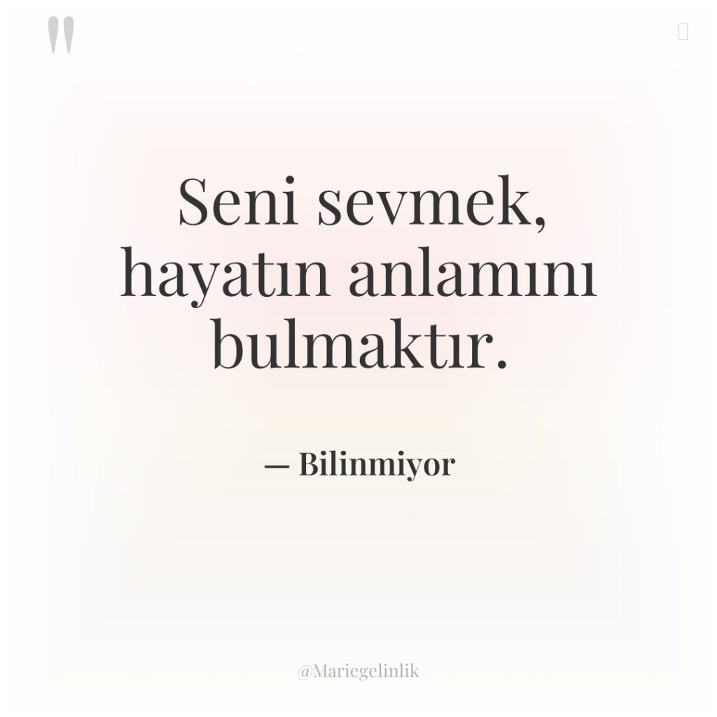 Seni sevmek, hayatın anlamını bulmaktır.