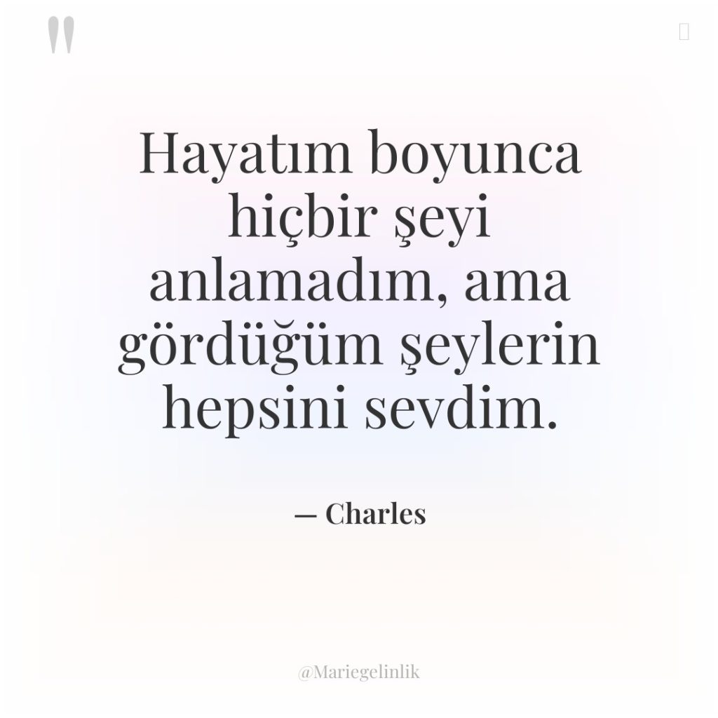 Hayatım boyunca hiçbir şeyi anlamadım, ama gördüğüm şeylerin hepsini sevdim.