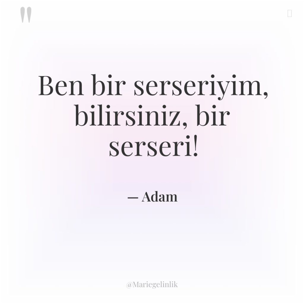 Ben bir serseriyim, bilirsiniz, bir serseri!