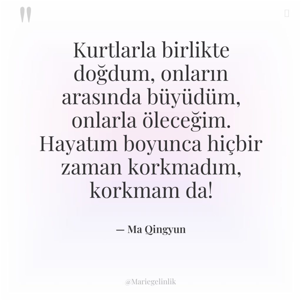 Kurtlarla birlikte doğdum, onların arasında büyüdüm, onlarla öleceğim. Hayatım boyunca…
