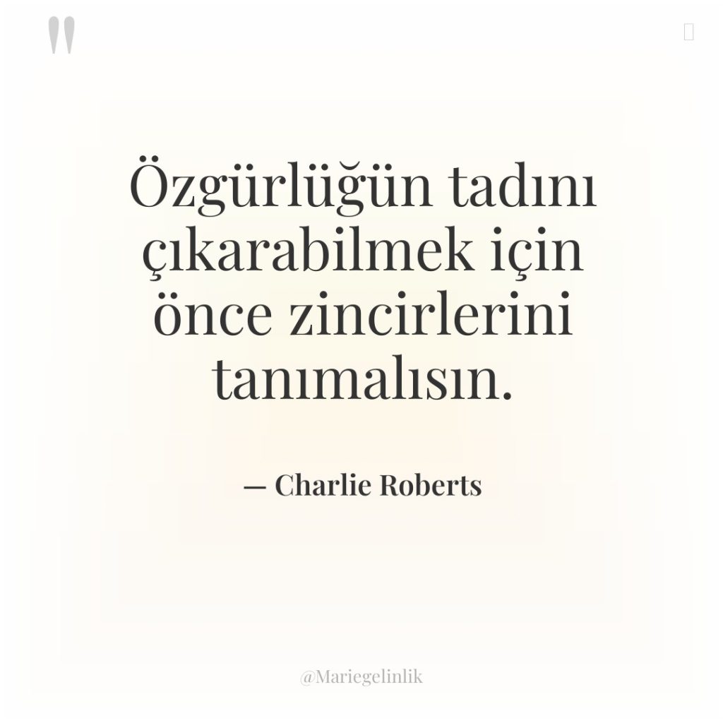 Özgürlüğün tadını çıkarabilmek için önce zincirlerini tanımalısın.