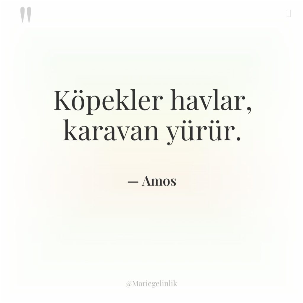 Köpekler havlar, karavan yürür.