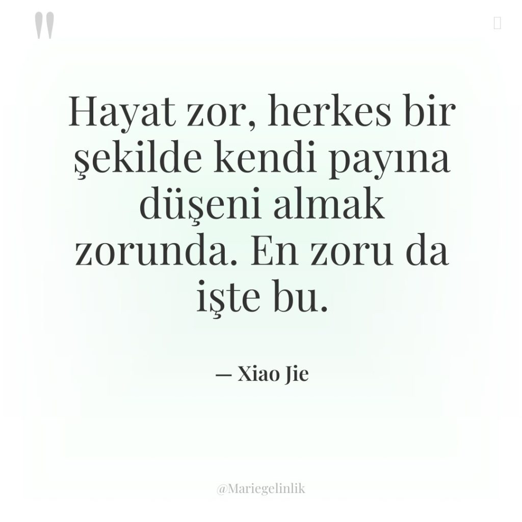 Hayat zor, herkes bir şekilde kendi payına düşeni almak zorunda….