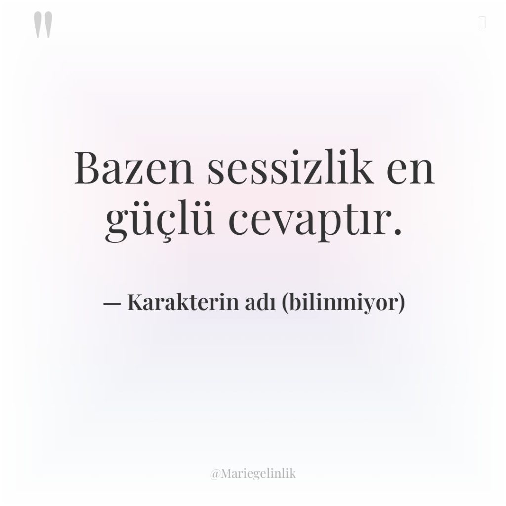 Bazen sessizlik en güçlü cevaptır.