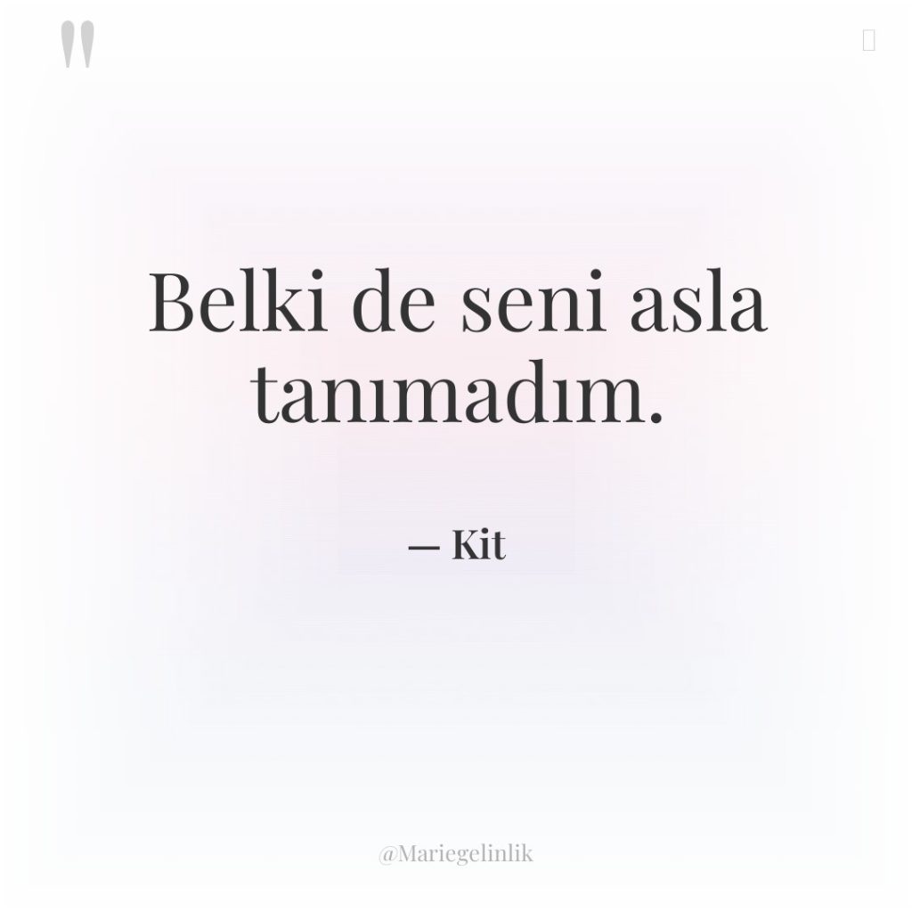 Belki de seni asla tanımadım.