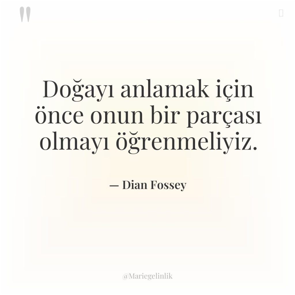 Doğayı anlamak için önce onun bir parçası olmayı öğrenmeliyiz.