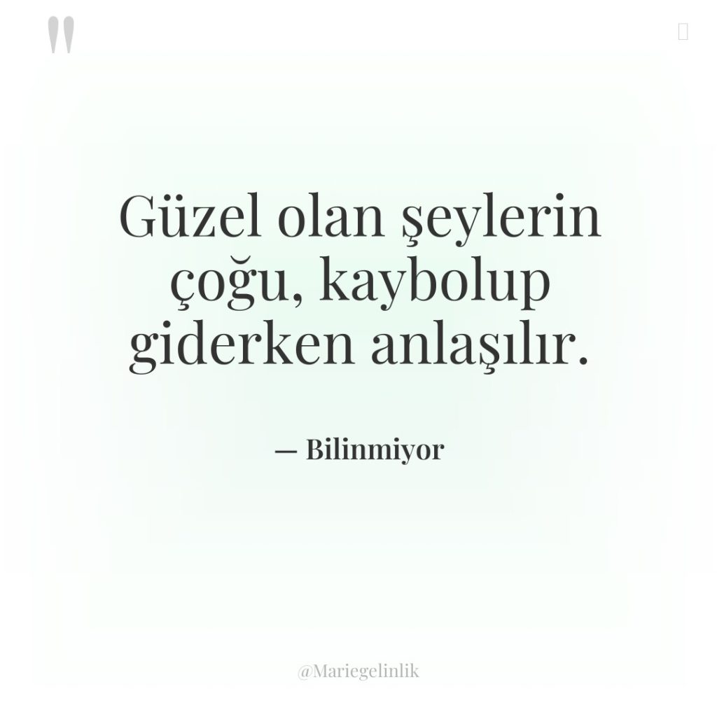 Güzel olan şeylerin çoğu, kaybolup giderken anlaşılır.