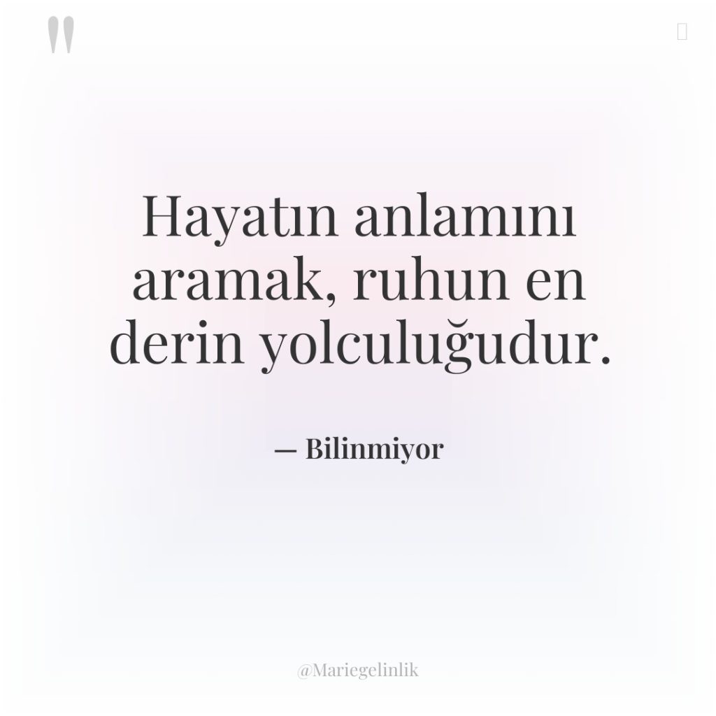 Hayatın anlamını aramak, ruhun en derin yolculuğudur.