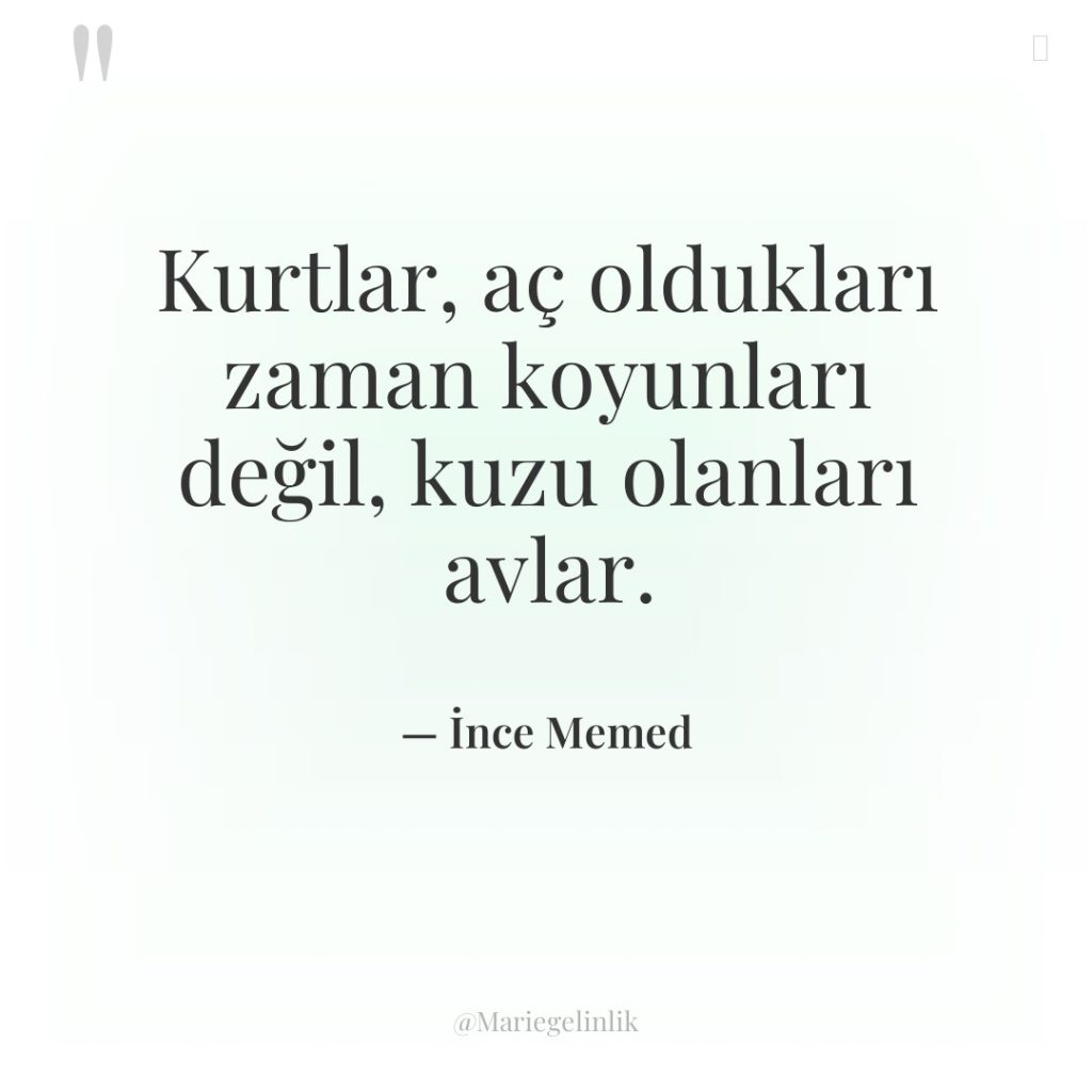 Kurtlar, aç oldukları zaman koyunları değil, kuzu olanları avlar.