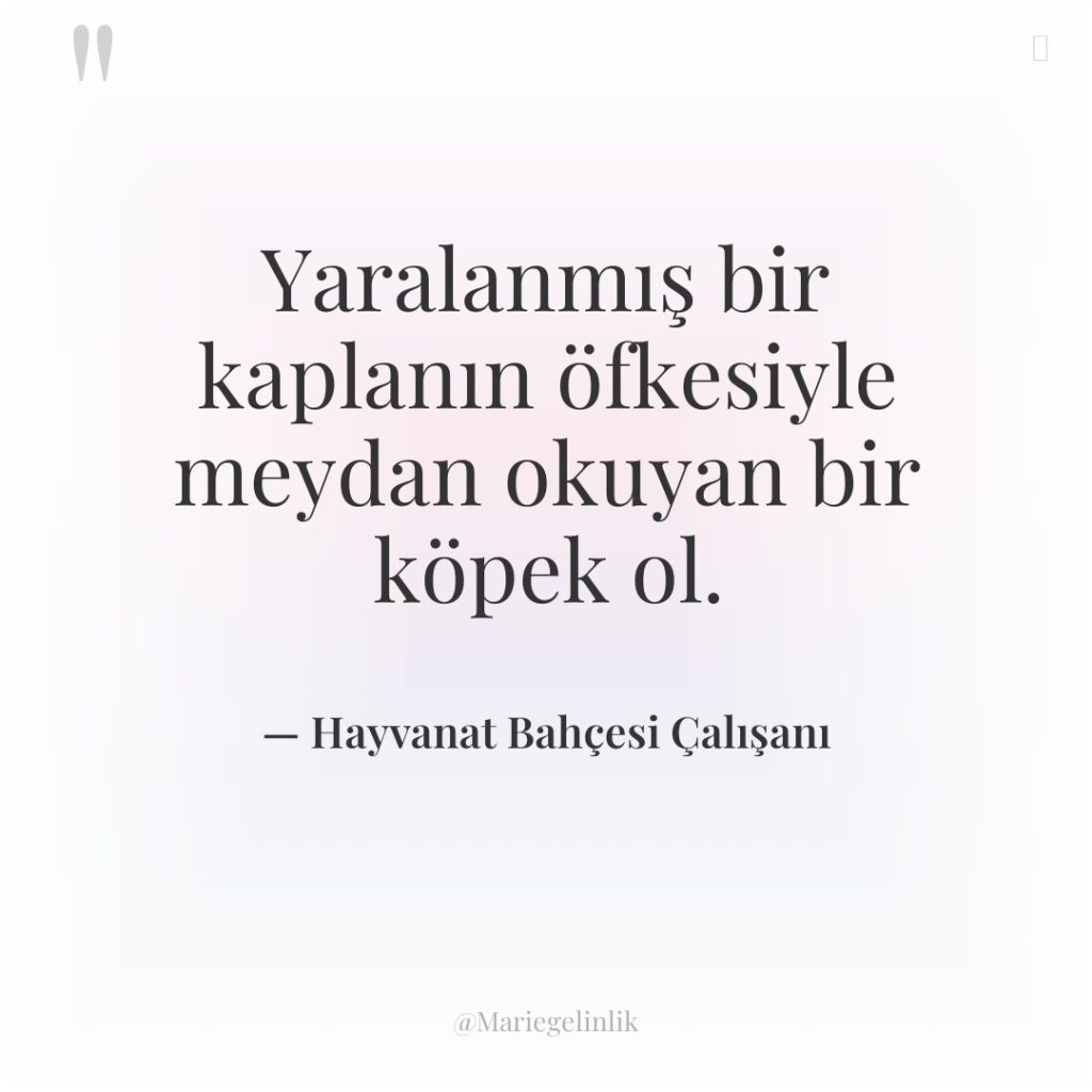 Yaralanmış bir kaplanın öfkesiyle meydan okuyan bir köpek ol.