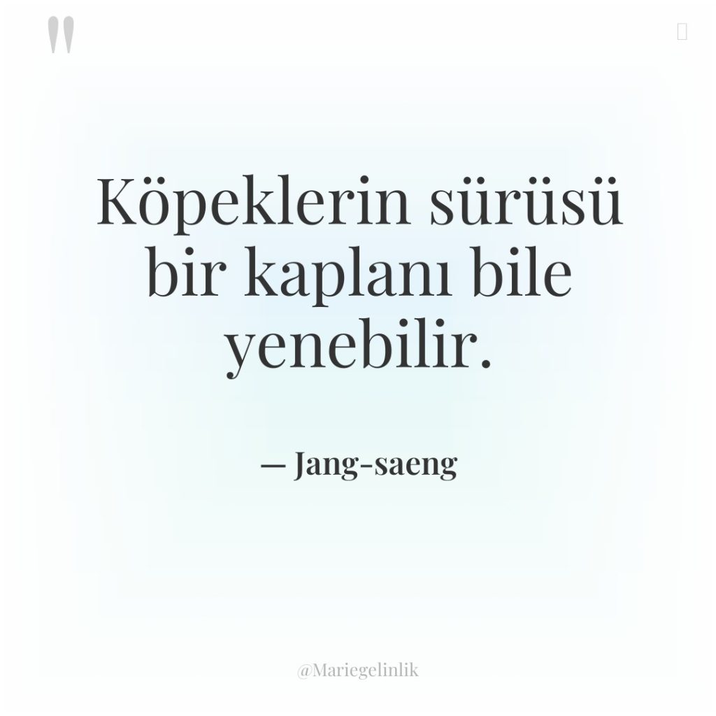 Köpeklerin sürüsü bir kaplanı bile yenebilir.