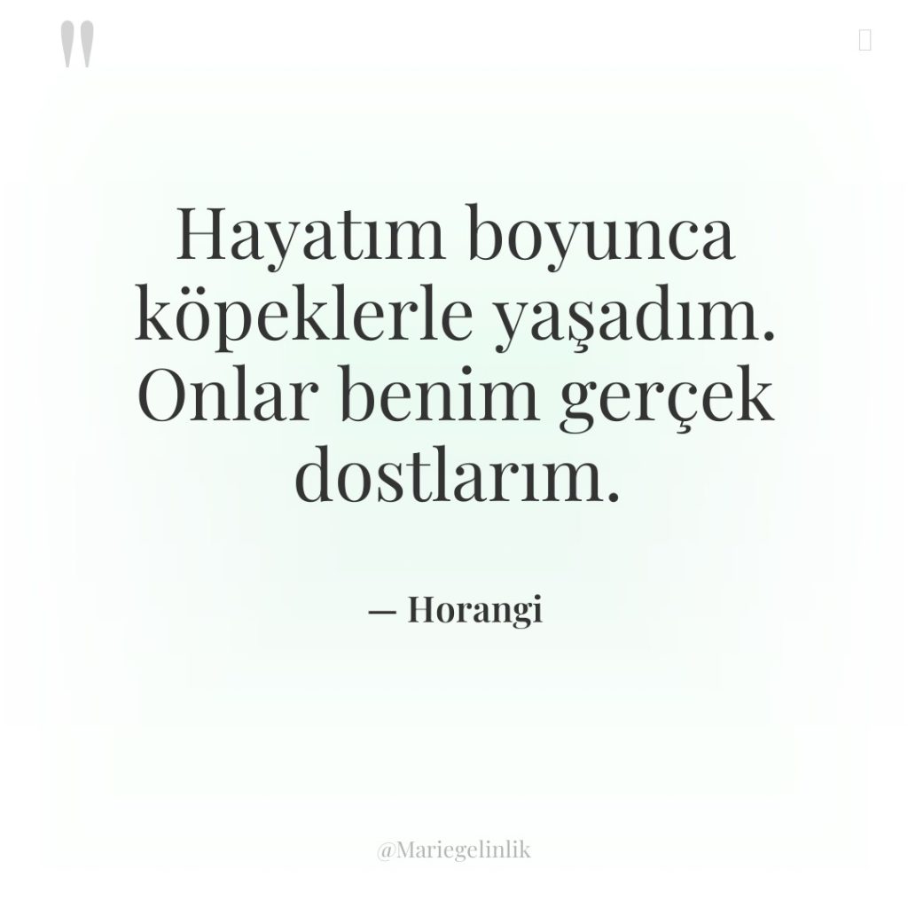 Hayatım boyunca köpeklerle yaşadım. Onlar benim gerçek dostlarım.