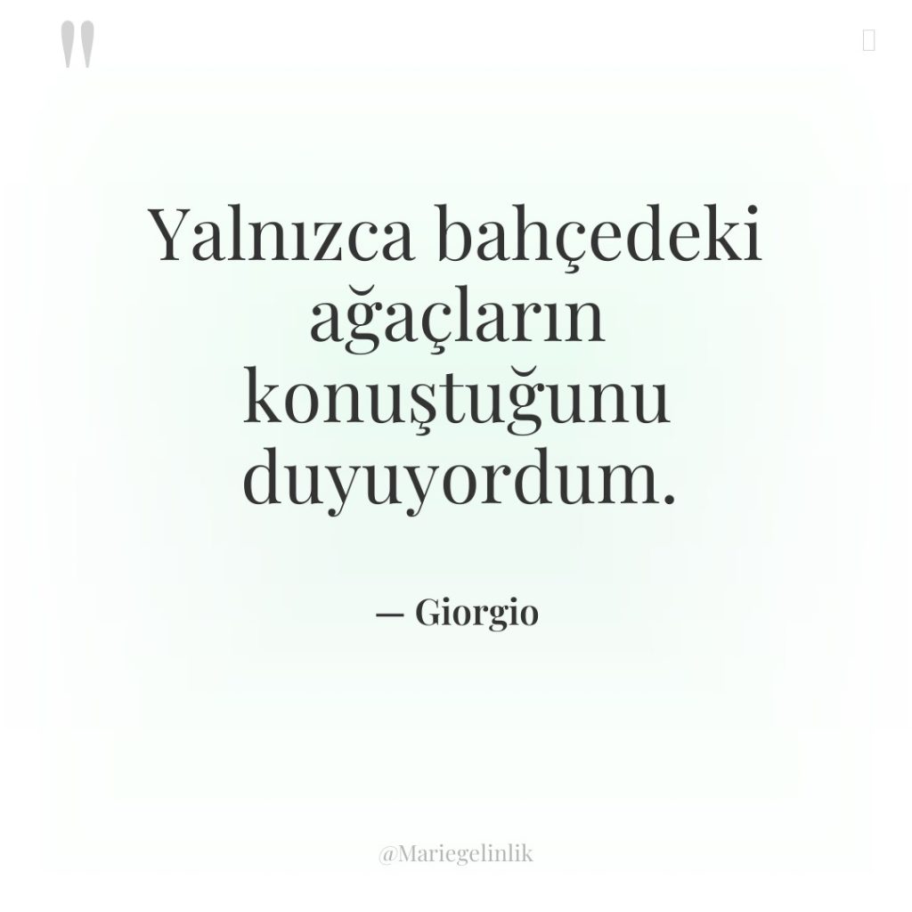 Yalnızca bahçedeki ağaçların konuştuğunu duyuyordum.