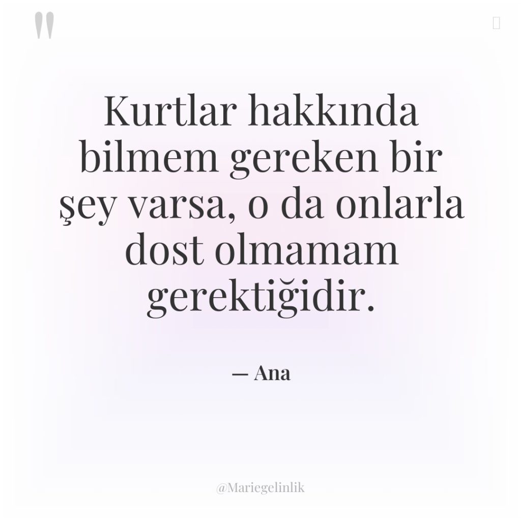 Kurtlar hakkında bilmem gereken bir şey varsa, o da onlarla…