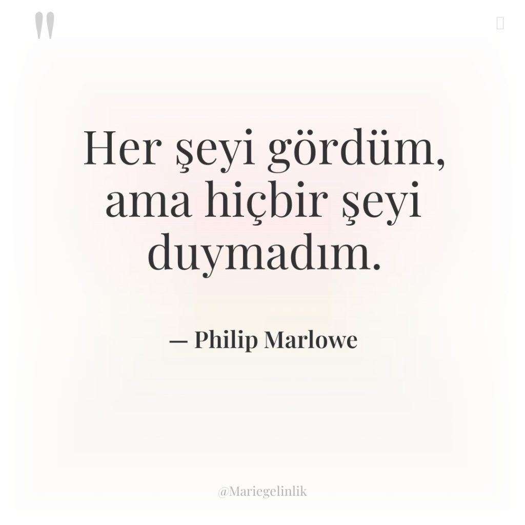 Her şeyi gördüm, ama hiçbir şeyi duymadım.