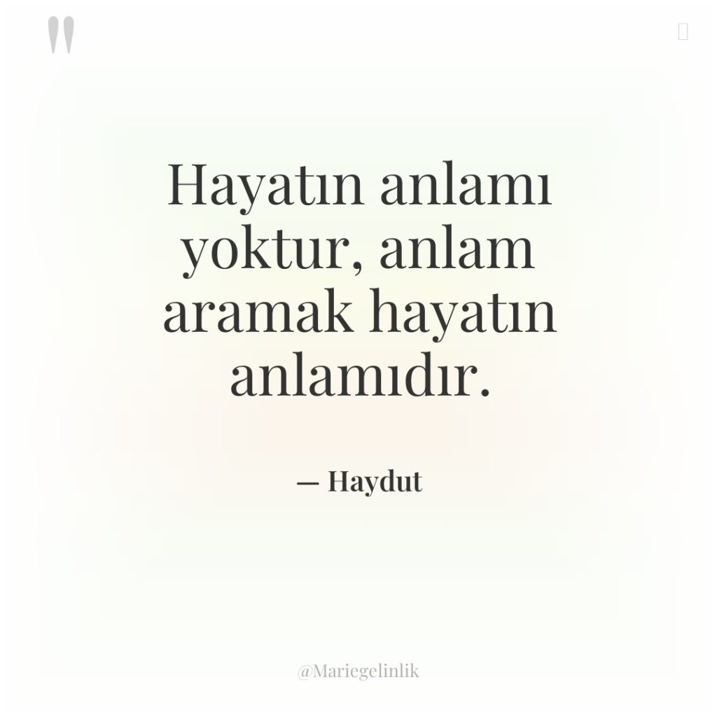 Hayatın anlamı yoktur, anlam aramak hayatın anlamıdır.