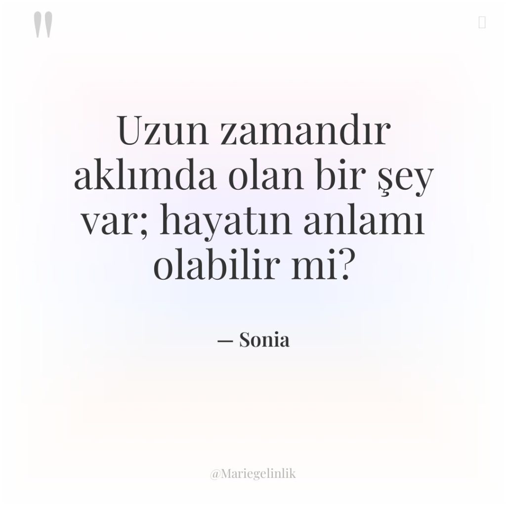 Uzun zamandır aklımda olan bir şey var; hayatın anlamı olabilir…