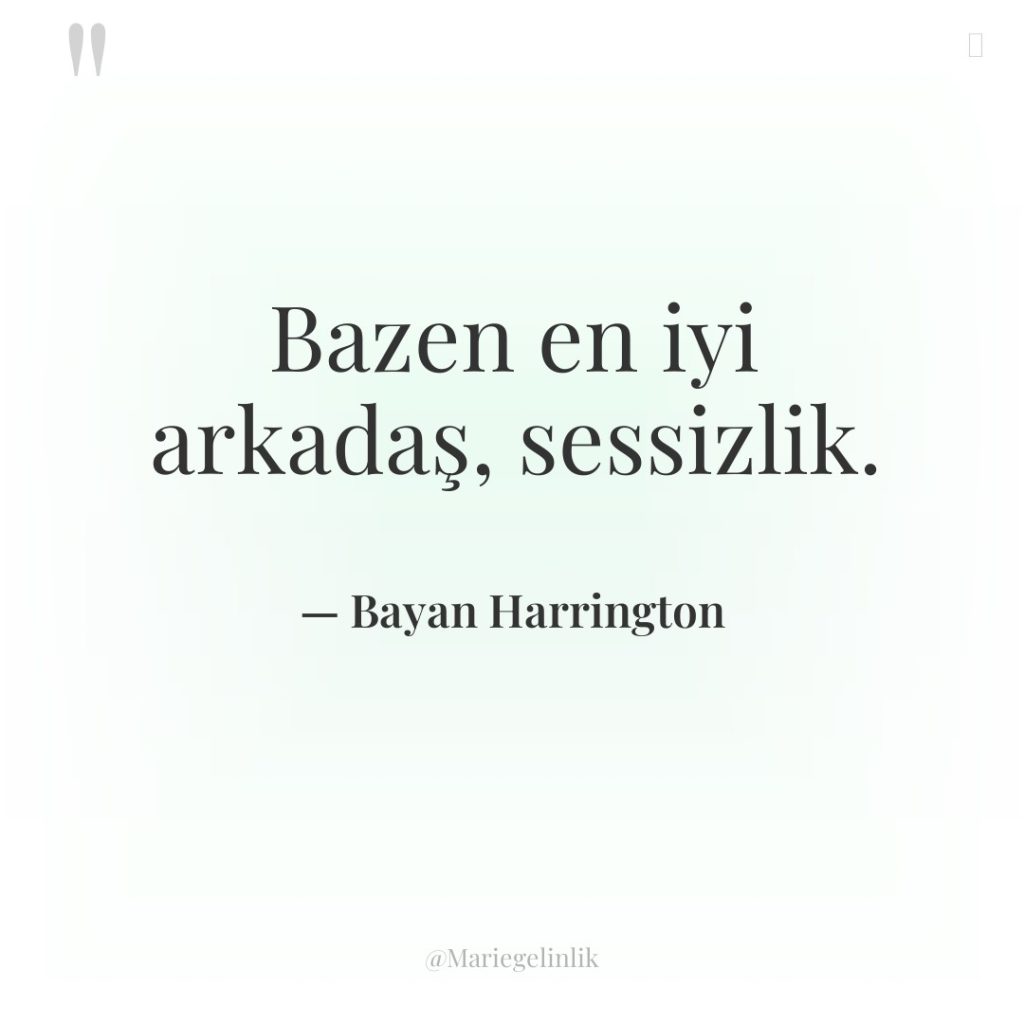 Bazen en iyi arkadaş, sessizlik.