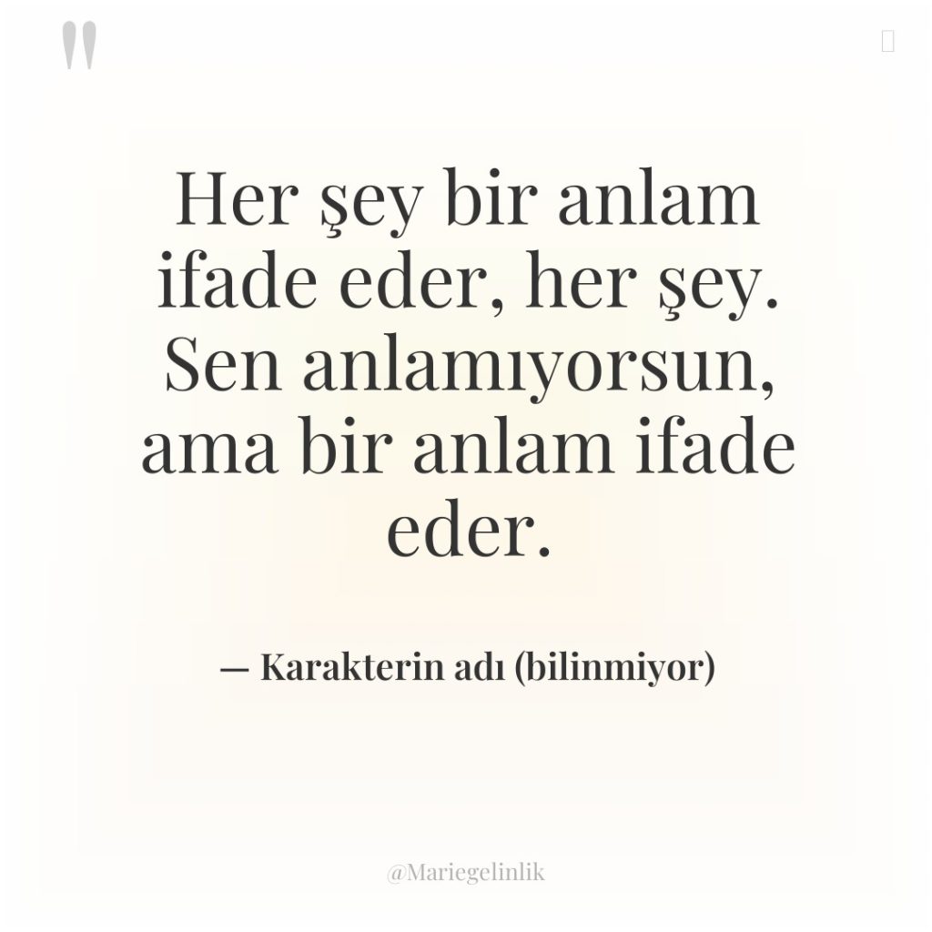 Her şey bir anlam ifade eder, her şey. Sen anlamıyorsun,…