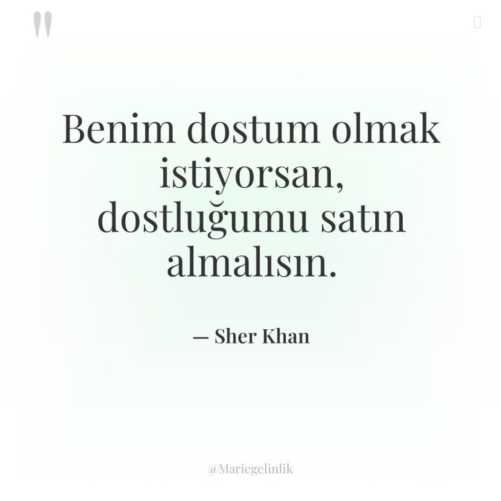 Benim dostum olmak istiyorsan, dostluğumu satın almalısın.