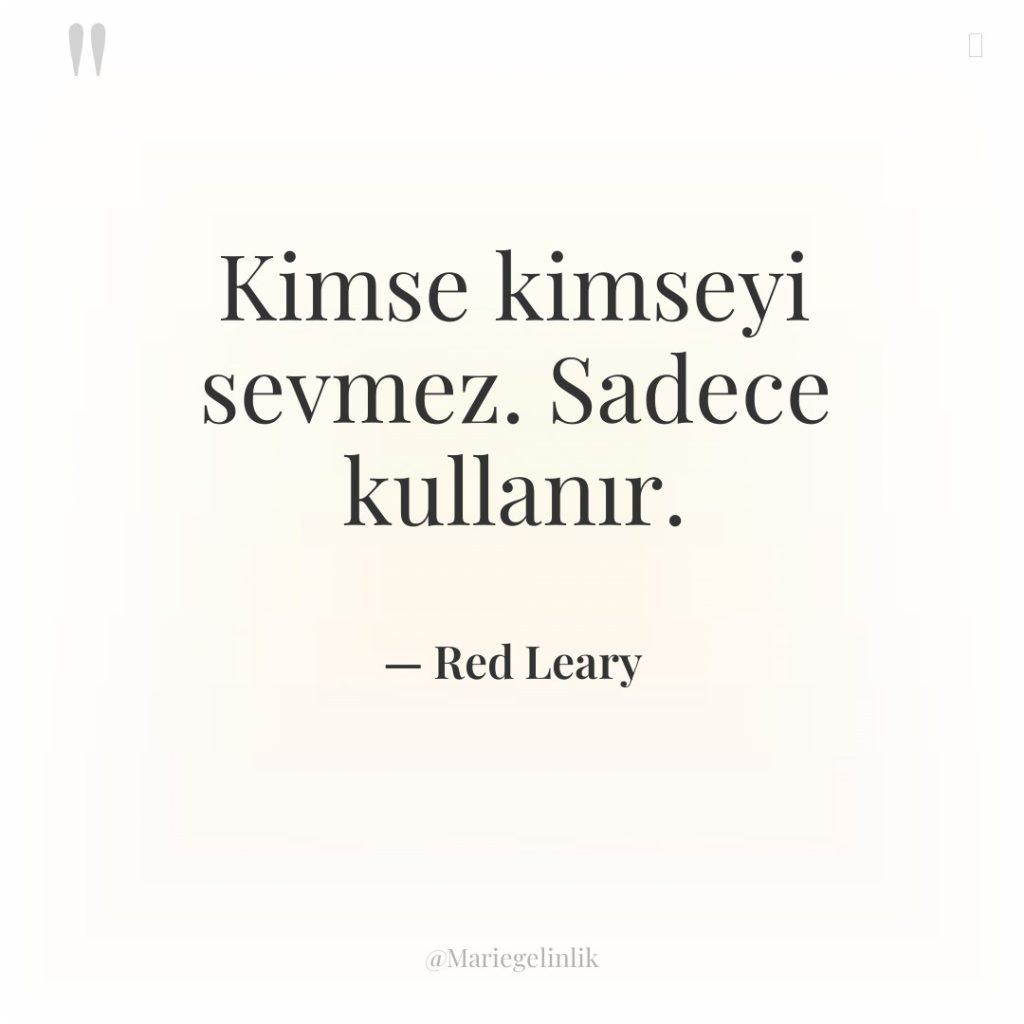 Kimse kimseyi sevmez. Sadece kullanır.