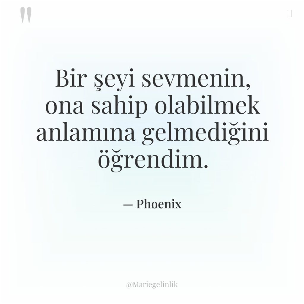 Bir şeyi sevmenin, ona sahip olabilmek anlamına gelmediğini öğrendim.