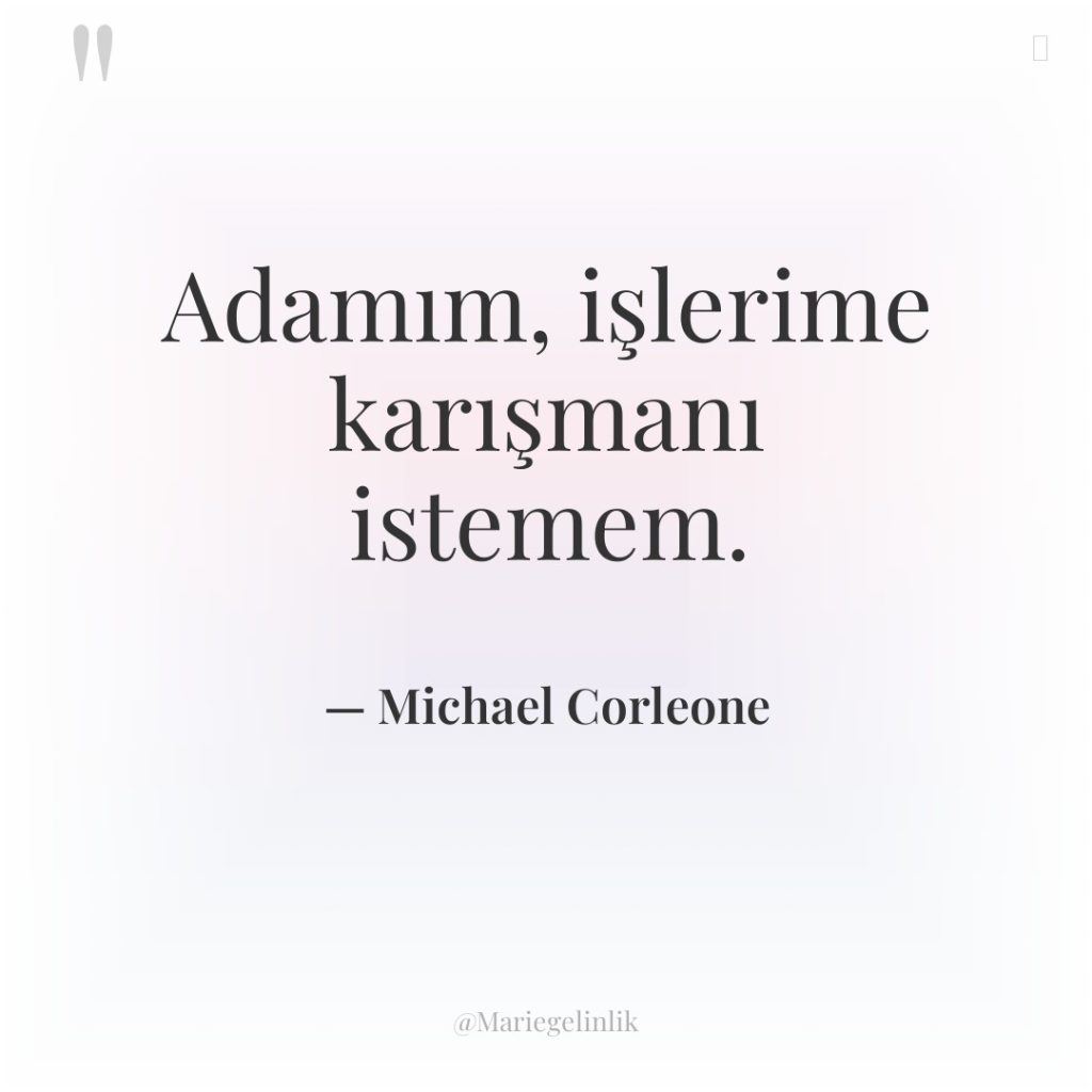 Adamım, işlerime karışmanı istemem.