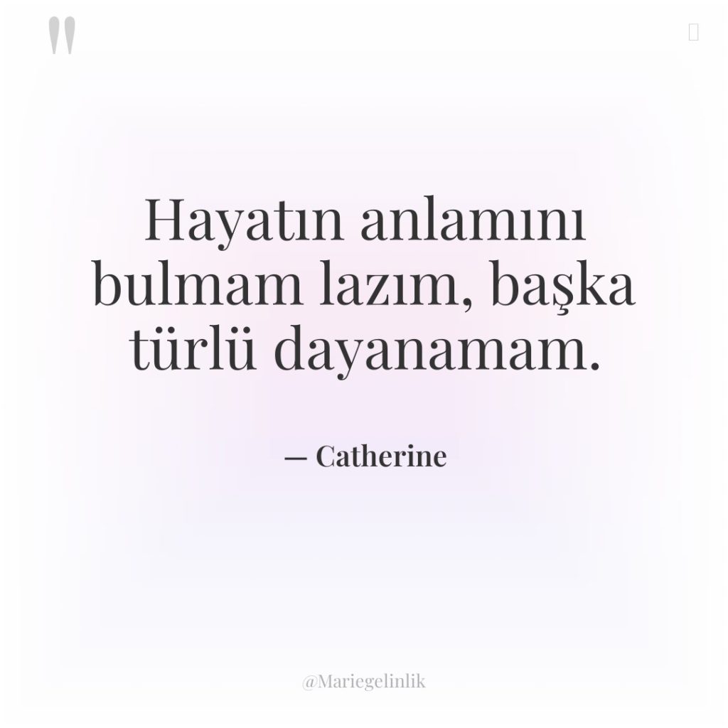 Hayatın anlamını bulmam lazım, başka türlü dayanamam.