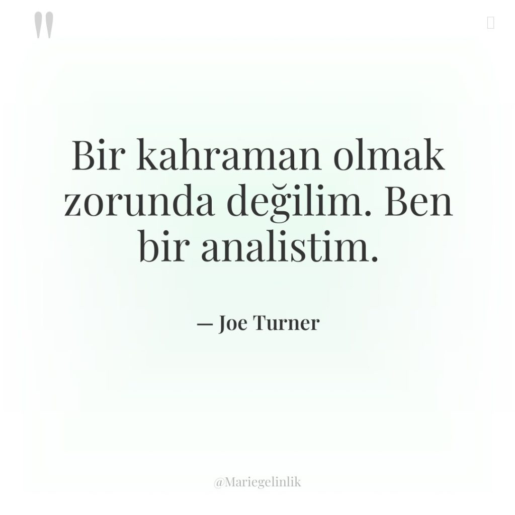 Bir kahraman olmak zorunda değilim. Ben bir analistim.