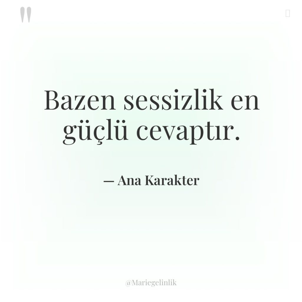 Bazen sessizlik en güçlü cevaptır.