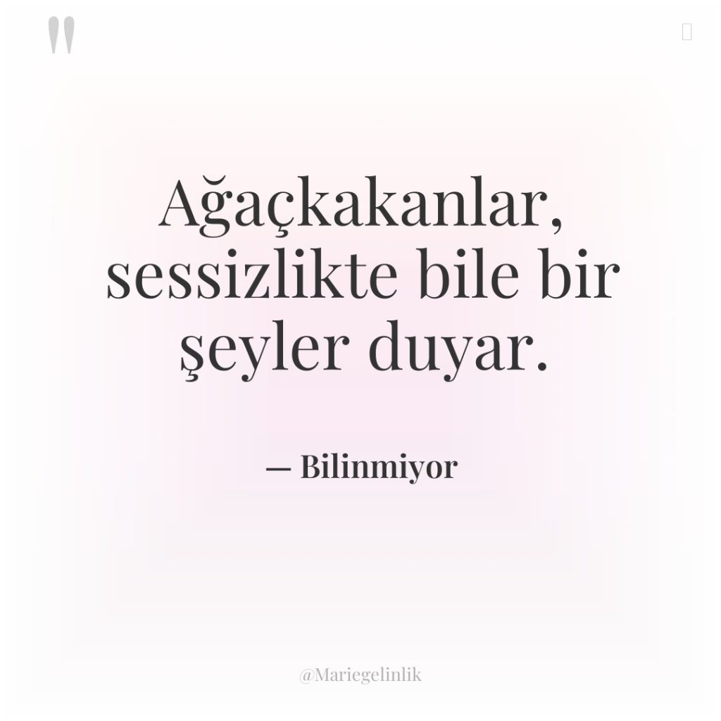 Ağaçkakanlar, sessizlikte bile bir şeyler duyar.