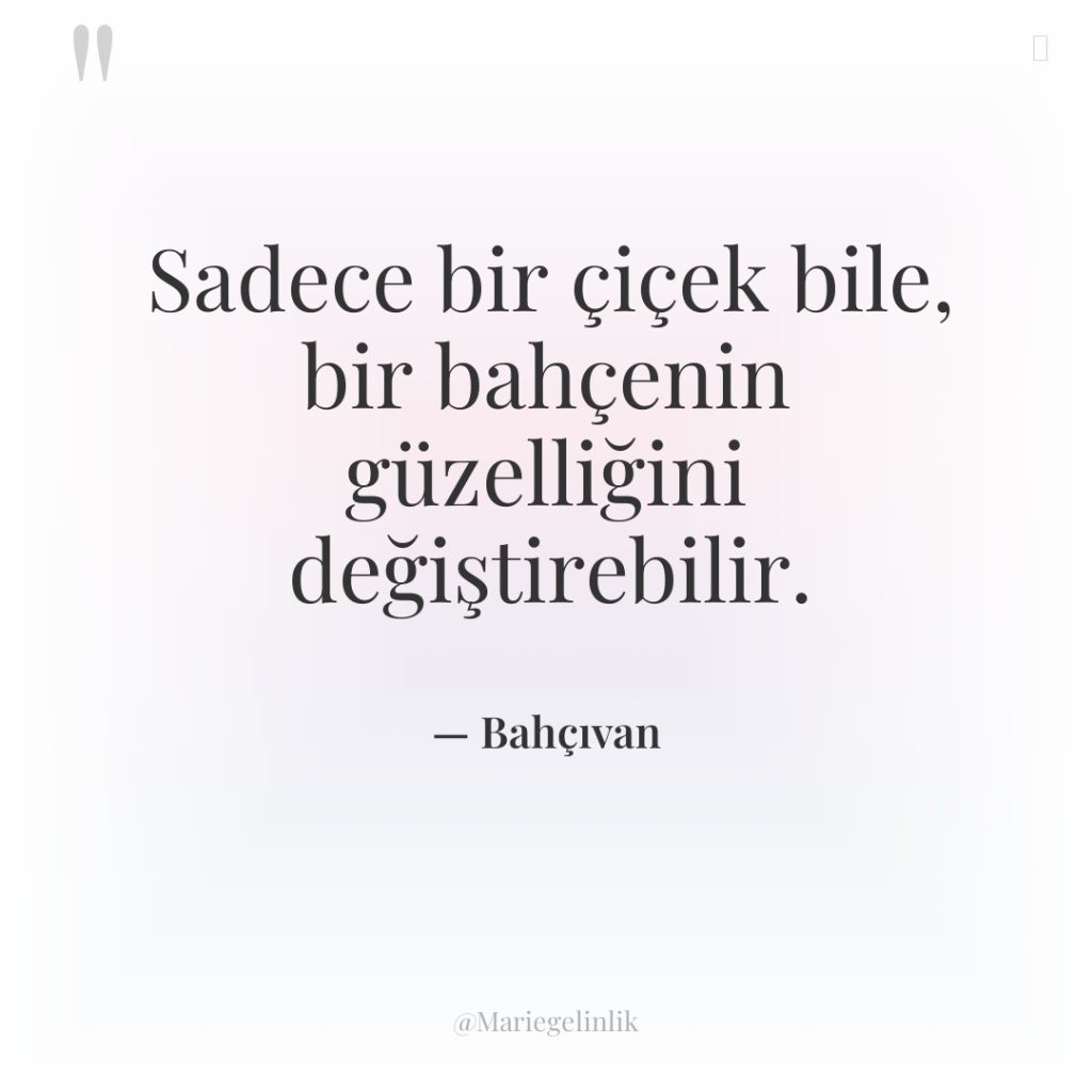 Sadece bir çiçek bile, bir bahçenin güzelliğini değiştirebilir.