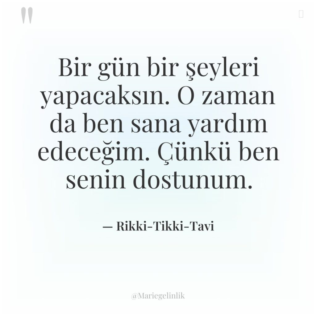 Bir gün bir şeyleri yapacaksın. O zaman da ben sana…