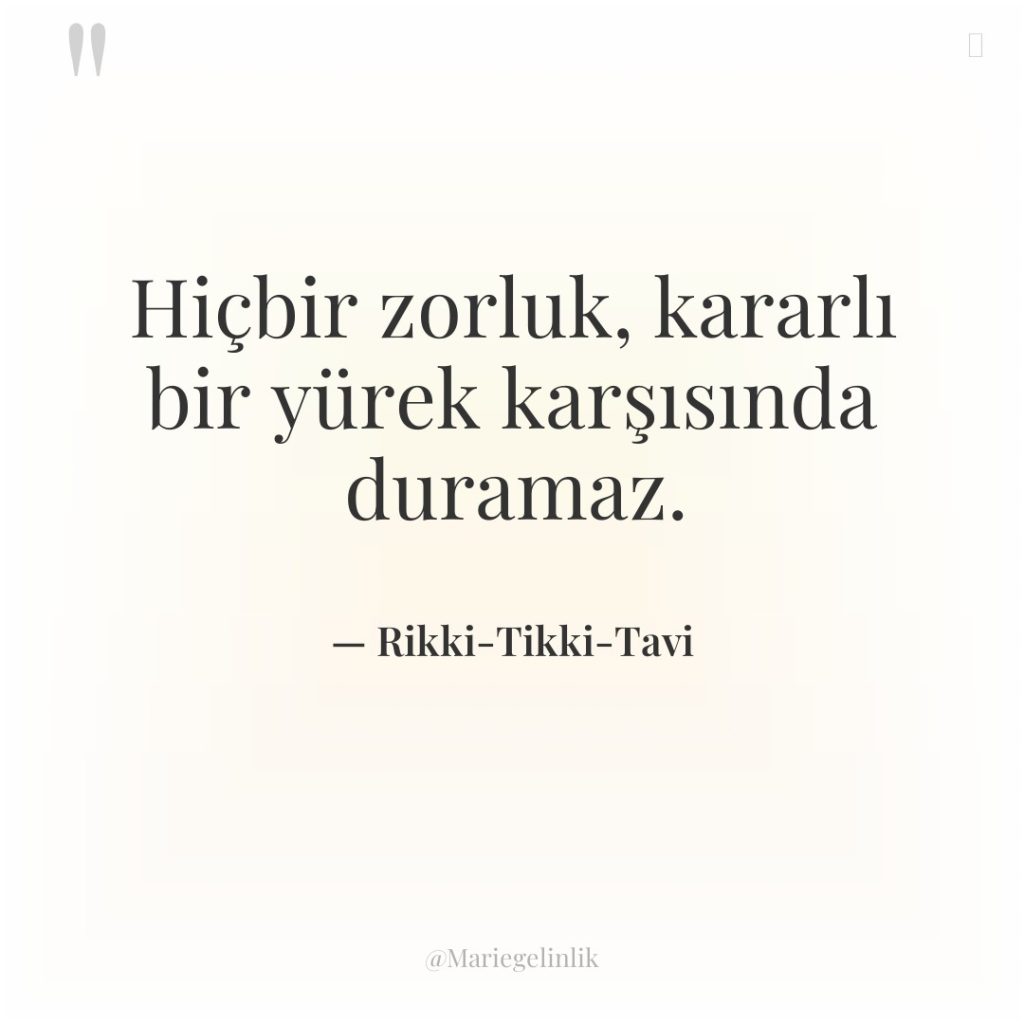 Hiçbir zorluk, kararlı bir yürek karşısında duramaz.