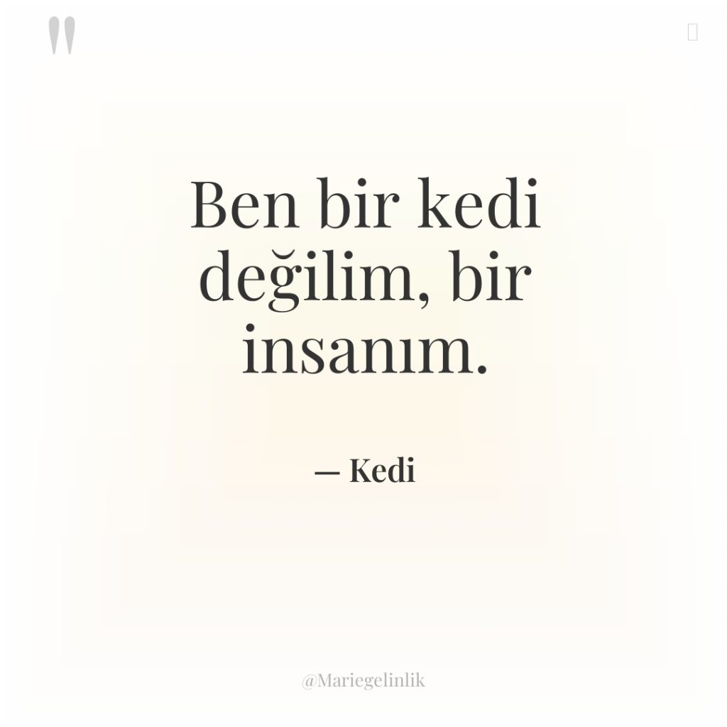 Ben bir kedi değilim, bir insanım.