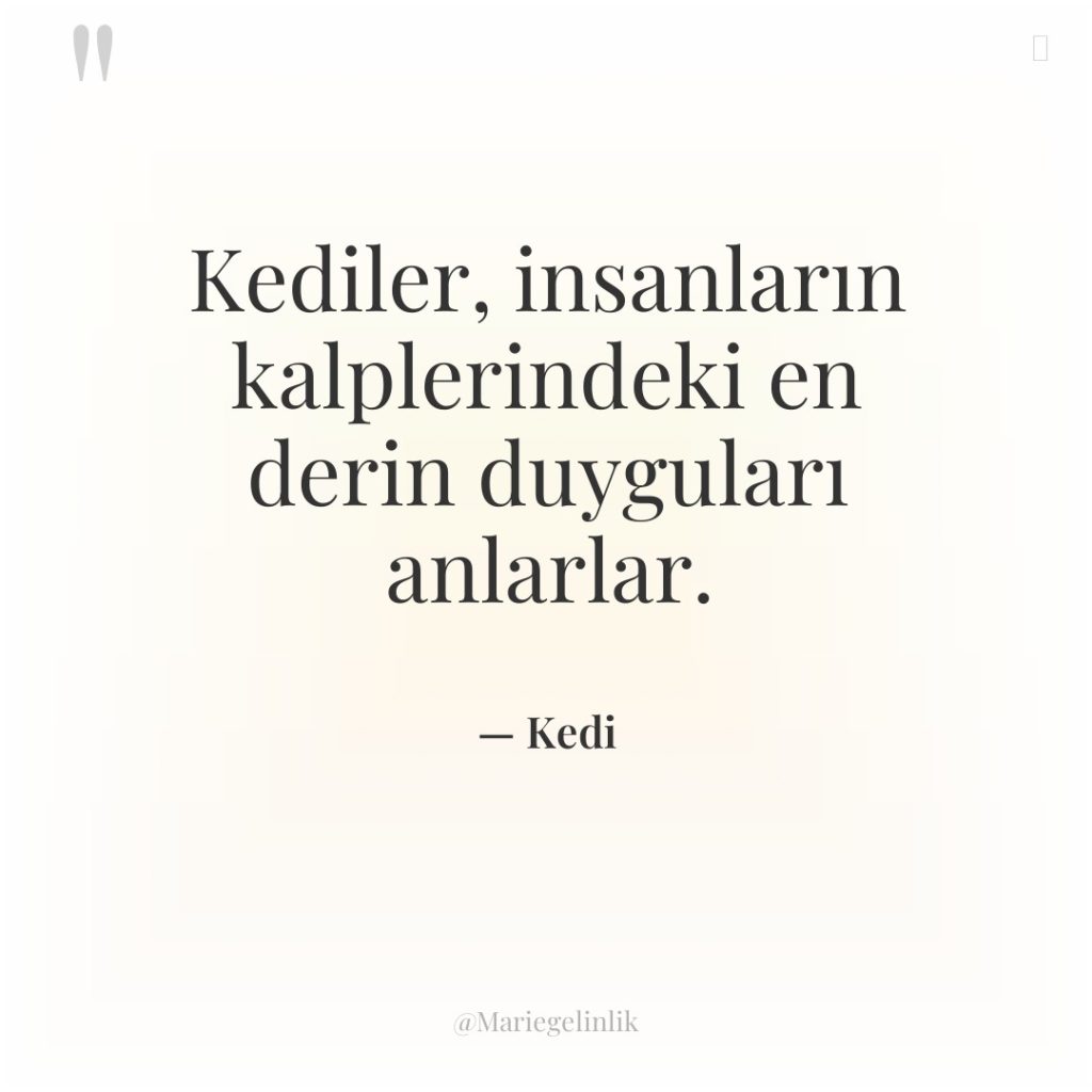 Kediler, insanların kalplerindeki en derin duyguları anlarlar.